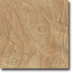 Chestnut Burl