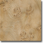 Oak Burl