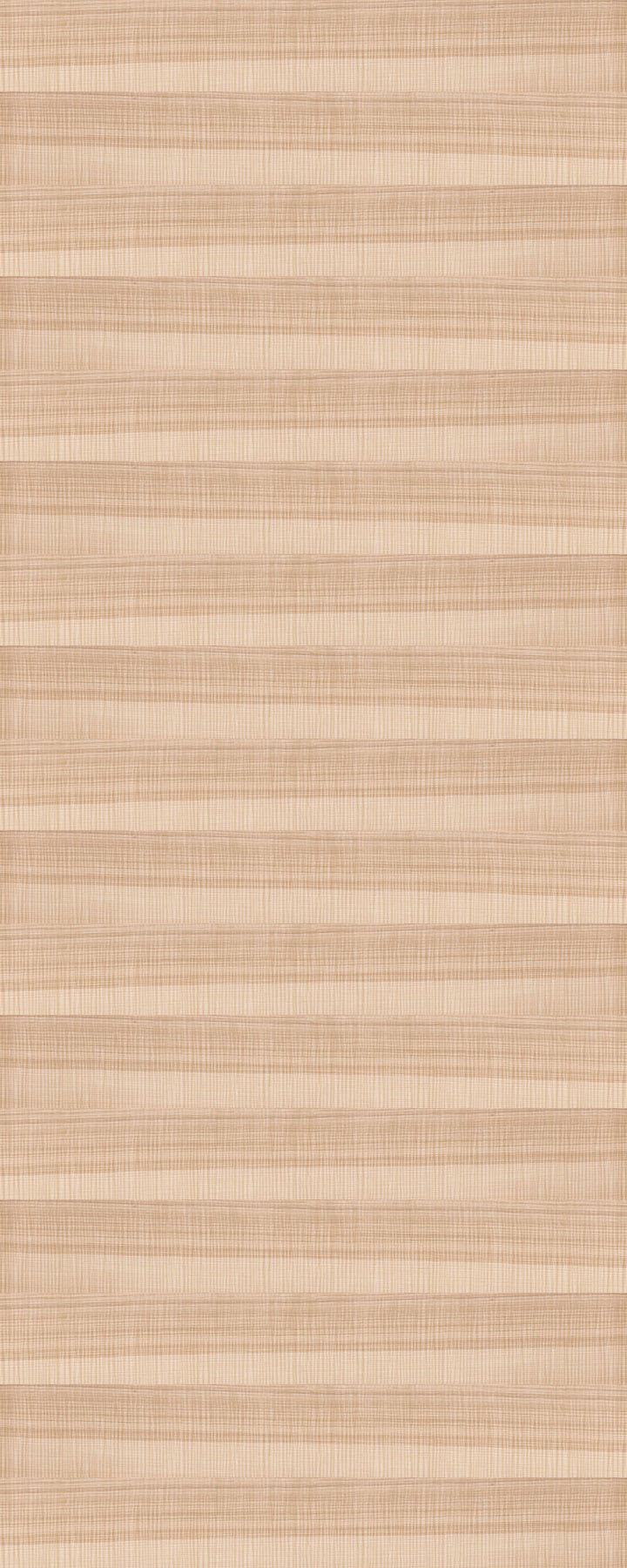 Ash European Olive - 50314