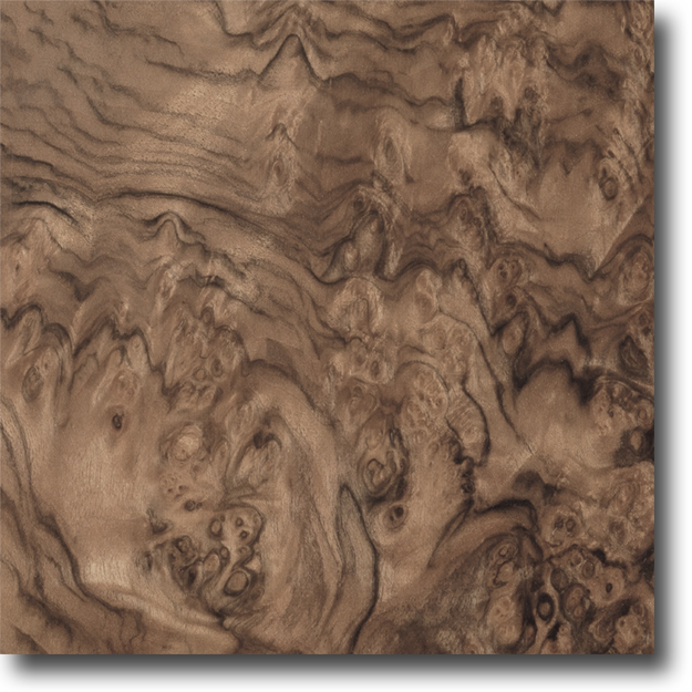 Walnut Burl Cognac