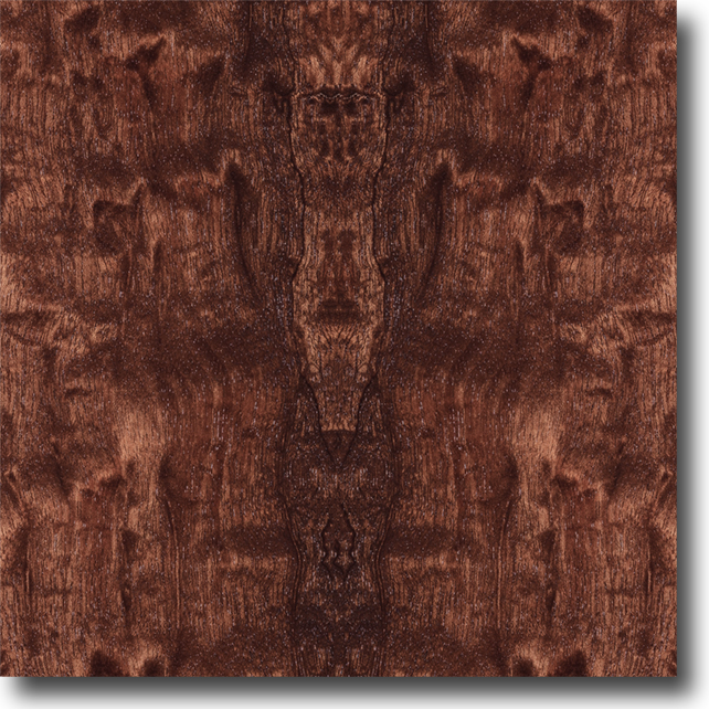 Mahogany Plum Pudding Auburn