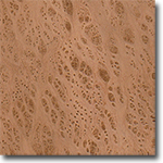 Redwood Burl