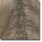 Walnut Crotch, American