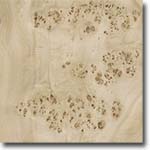 Mappa Burl